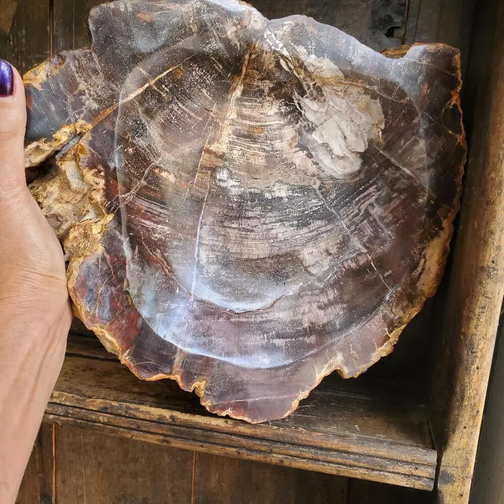 13lbs+ Red Brown XL Petrified Wood Fossilized Bowl 6210 grams